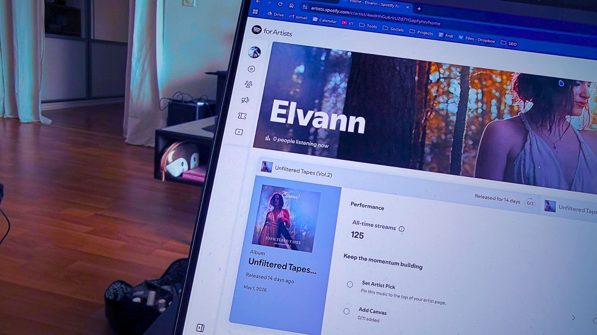Picture of Elvann's Spotify for Artist on Desktop